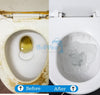 Toilet Cleaning Agent 100 gm (Pack of 2)