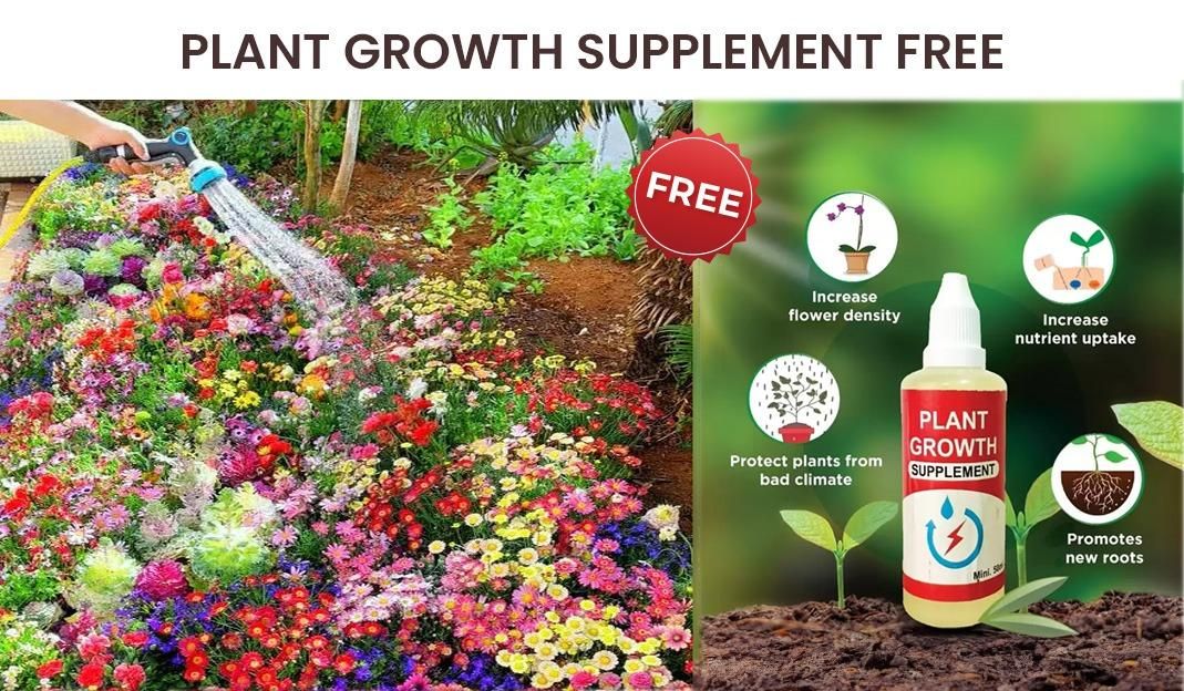 Mixed Perennial Flowers Seeds Mixed (Pack of 100)