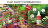 Mixed Perennial Flowers Seeds Mixed (Pack of 100)