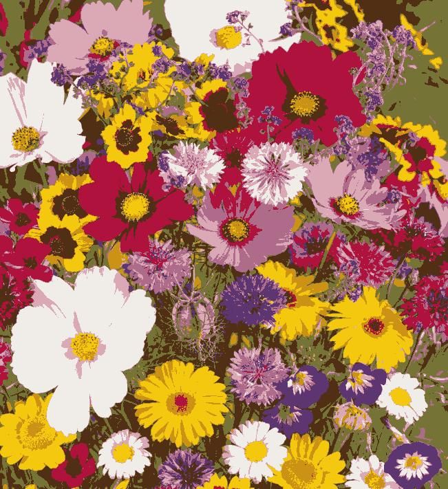 Mixed Perennial Flowers Seeds Mixed (Pack of 100)